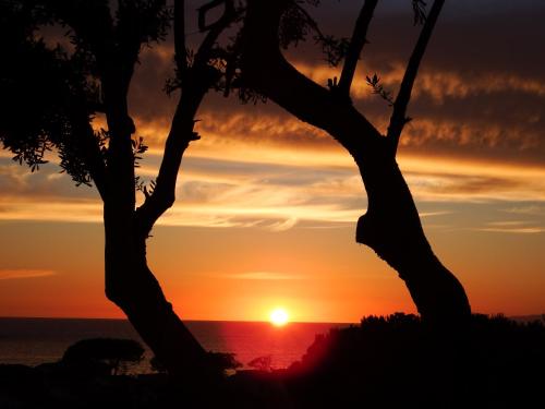 Hotel Cristina - main image