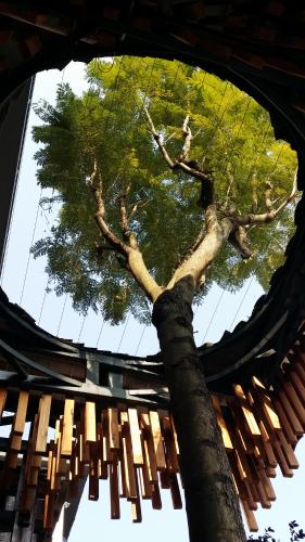 86573463 Li River Resort