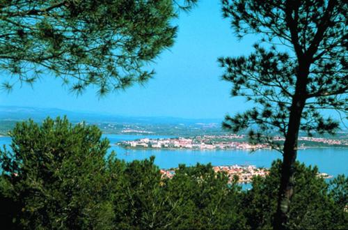 周邊環境, Les Oliviers in 巴拉呂克萊班