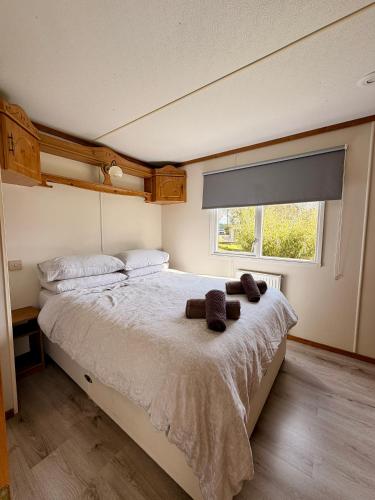 Simene cabin, Bridport (foto 6)