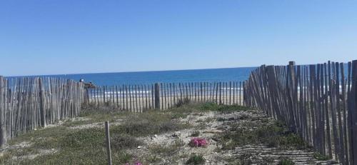 Maisonnette bord de mer la cabane bleue et la dune