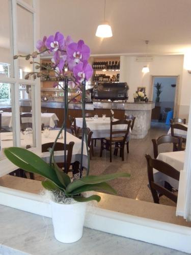 Hotel Garden Bocca di Magra – Ameglia, PA