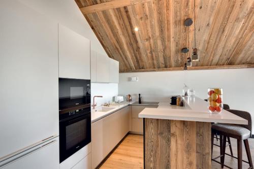 Antares NAOS 302 - luxury apartment ski inski out in Meribel Center