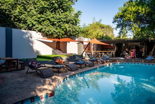 Victoria Falls Backpackers Zambia - Swimming pool