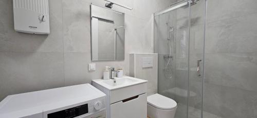 Banheiro, Apartament Kotwiczników Gdańsk Free Parking (Apartament Kotwicznikow Gdansk Free Parking) in Velho Subúrbio