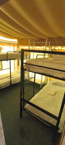 1 bunk bed
