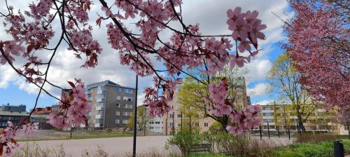 Cozy studio at the heart of Helsinki, close to nature & sea, Helsinky (fotografie 10)