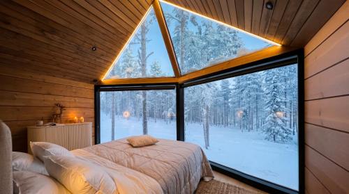 Levi Nordic Star Igloos in Levi