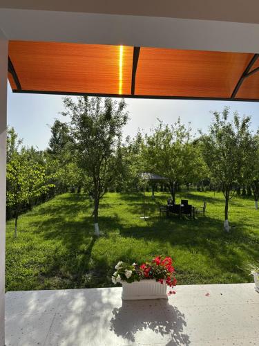 LakeSide in Nohurqishlaq
