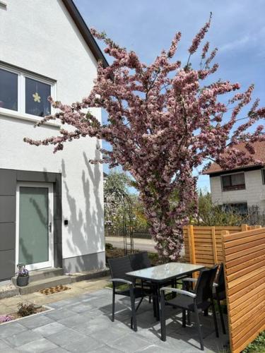 Gemütliche Ferienwohnung auf der Schwäbischen Alb (Gemutliche Ferienwohnung auf der Schwabischen Alb) in Hohenstein (Reutlingen)