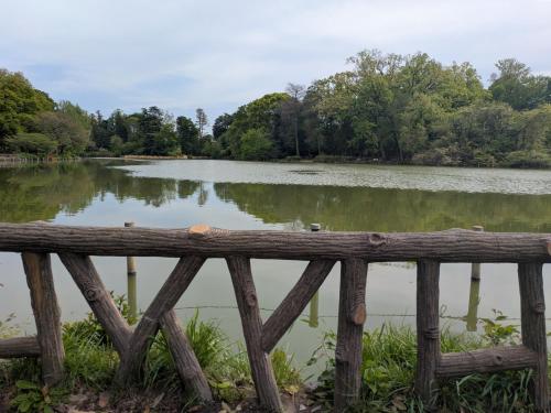 Nearby attraction, KazenoKi in Nerima