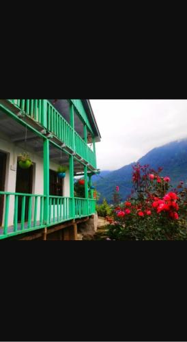 Snow Pearl B&B Homestay in Tibetan Colony