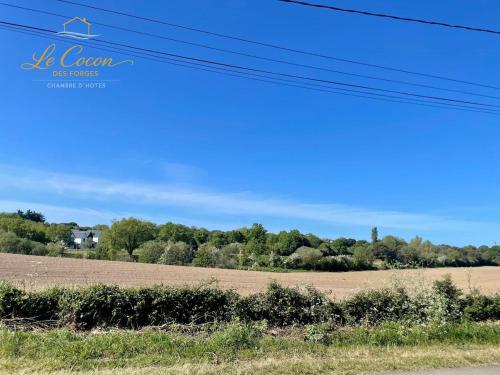 Vaade, Le Cocon des Forges in Talmont-Saint-Hilaire