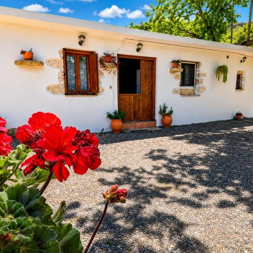 Travelers  Hikers Delight House On Way To Sougia