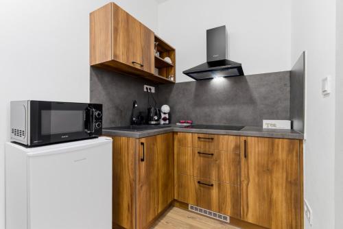 Kitchen, Panorama Apartments an der Seilbahn unterhalb der Albrechtsburg - Parkplatz und Wi-Fi - FREE in Meissen