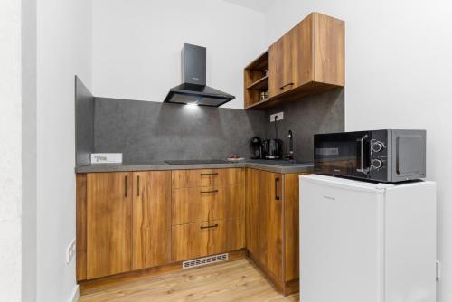 Kitchen, Panorama Apartments an der Seilbahn unterhalb der Albrechtsburg - Parkplatz und Wi-Fi - FREE in Meissen