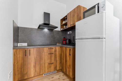 Kitchen, Panorama Apartments an der Seilbahn unterhalb der Albrechtsburg - Parkplatz und Wi-Fi - FREE in Meissen