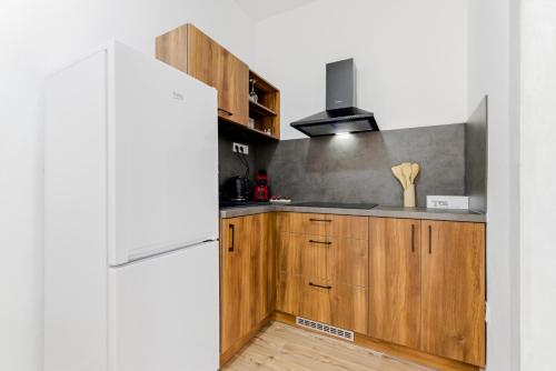 Kitchen, Panorama Apartments an der Seilbahn unterhalb der Albrechtsburg - Parkplatz und Wi-Fi - FREE in Meissen