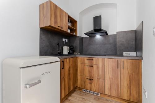 Kitchen, Panorama Apartments an der Seilbahn unterhalb der Albrechtsburg - Parkplatz und Wi-Fi - FREE in Meissen