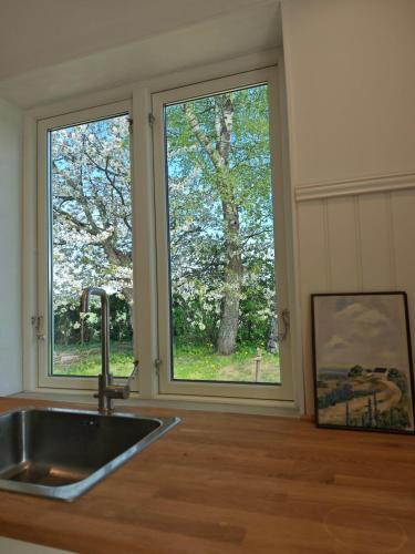The Green House Holiday Home in Kopingebro