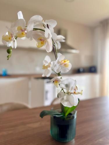 Superbe Appartement 6 personnes - Terrasse vue mer a Antibes - Climatisation - Parking Prive in Laval