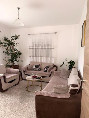 Apartment Guberinic