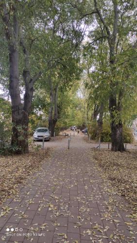 Apartmani Trivunov -Studio 1 in Petrovaradin