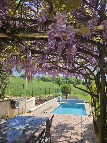 Ételek és italok, Suite privative du Paradis in Taponas