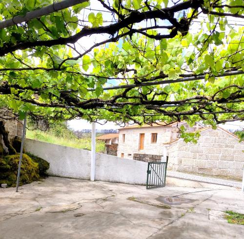 Casa D'os Eiras in Aguiar Da Beira
