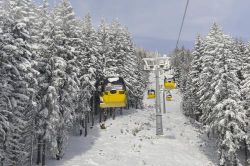 Ferienwohnung Lasshofer - image 4