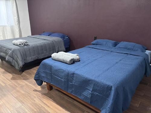 Demi Apartment