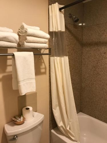 Snowshoe Motel The 2-star Snowshoe Motel offers comfort and convenience whether youre on business or holiday in Frisco (CO). The hotel offers a high standard of service and amenities to suit the individual needs of