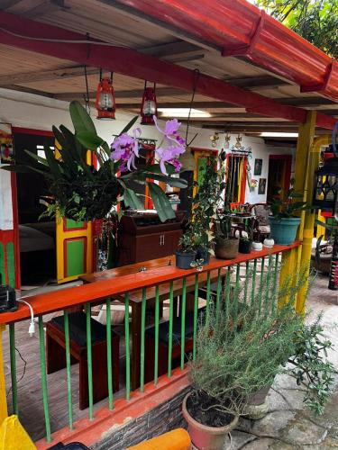 Casa de La Abuela Irene in Calarca