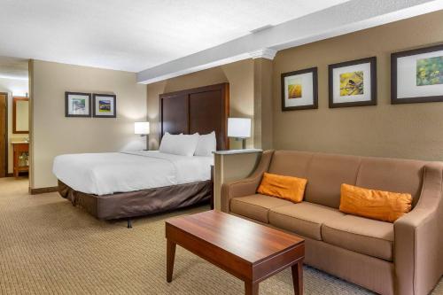 Comfort Inn & Suites near Danville Mall - image 29