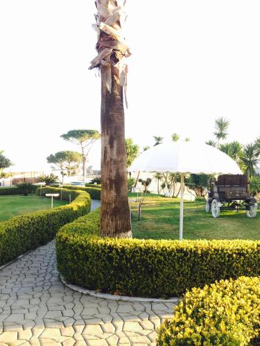 Zia Bi Bed and Breakfast - image 10