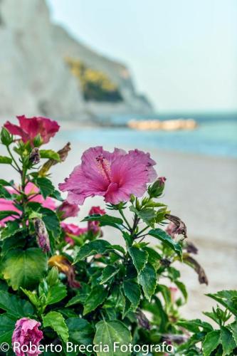 Camping Village Riviera - image 3