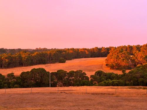 ヒルトップ ストゥデイオズ