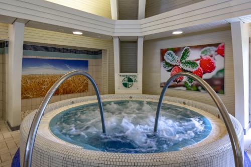 wanna z hydromasażem, Ensana Thermal Heviz in Heviz