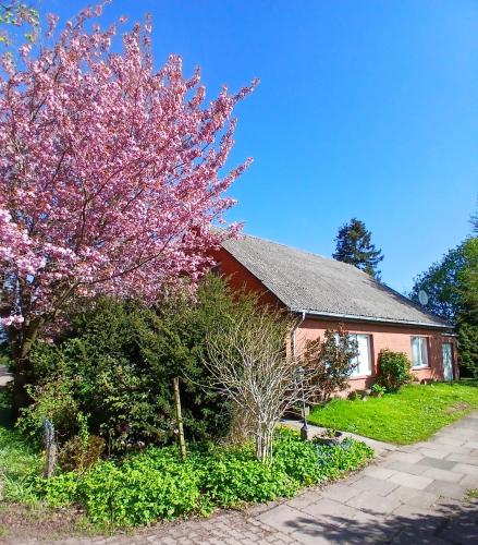 Viesnīcas āriene, Haus am Kirschbaum in Belum