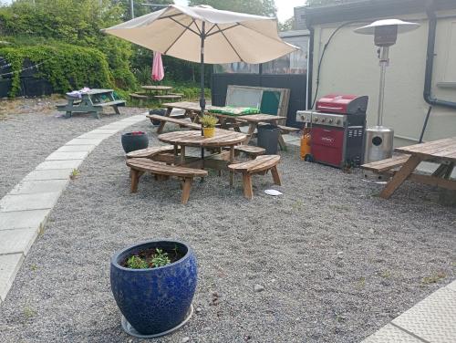 Garden, Matty's Pub - Apartment's in Carlow