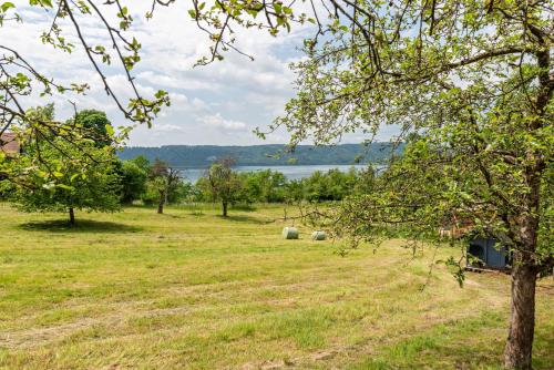 Exterior view, Seeblick in Sipplingen