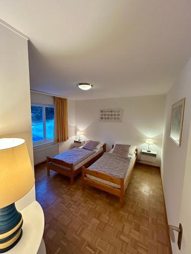 Sorecrans, Crans-Montana (fotografie 10)
