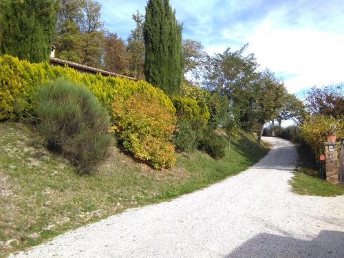 Calmancino delle Selve 2