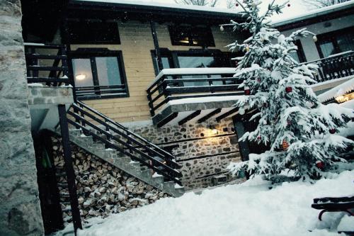Viesnīcas āriene, Kutsinska House in Progleda
