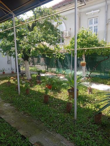 Casa, Craiova (foto 6)