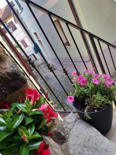 LA CASA di PIETRA a CARRO in Carro (La Spezia)