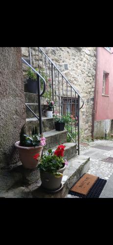 LA CASA di PIETRA a CARRO in Carro (La Spezia)