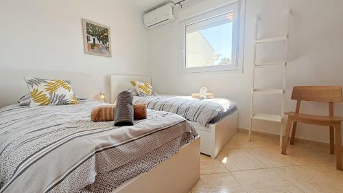 AP322 - Mirlo, Nerja (Foto 6)