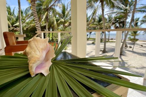 Escape Away Belize All Inclusive in Ambergris Caye