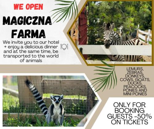 Magiczna Farma Hotel Obiady Maka i Magia - Lomza